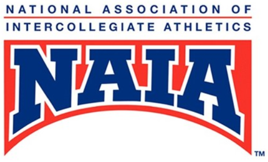 NAIAa.PNG